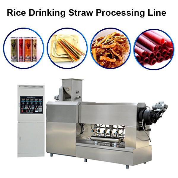 Hot Sale Rice Drinking Straw Processing Line Pasta Macaroni Straw Food Making Machine #1 image