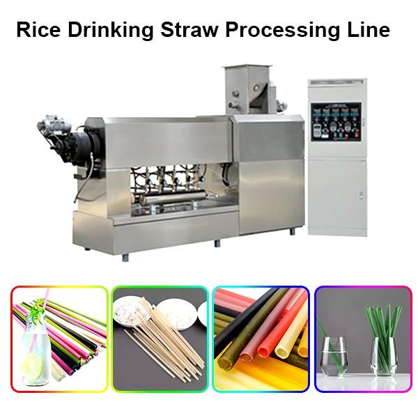 Single Screw Extruder Macaroni Pasta Degradable Drinking Straw Processing Line Making Machine #1 image
