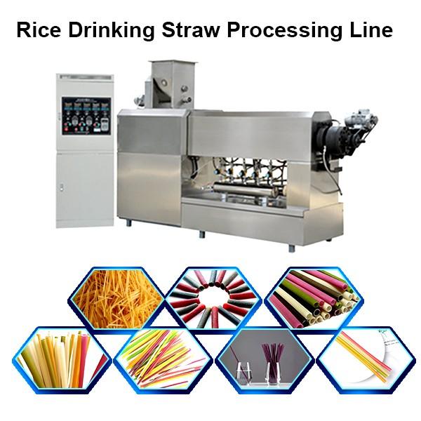 Vegetable Straws Edible Rice Drinking Straws Pasta Rice Straws Making Machinery #1 image