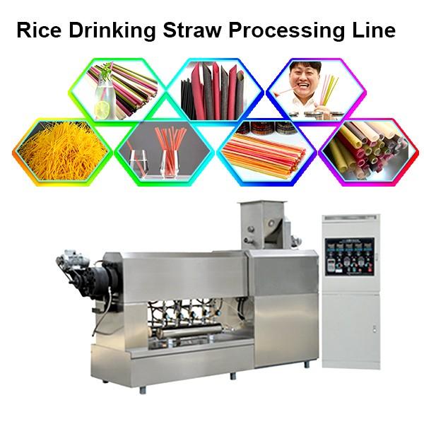 Pasta Straw Machines Making Rice Drinking Straw Machine #1 image