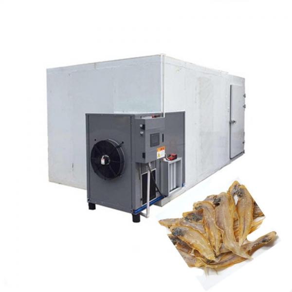 Heat Pump Hot Air Mesh Belt Fish Chilli Mango Fruit Vegetable Drying Dehydrator Machine Dryer #1 image