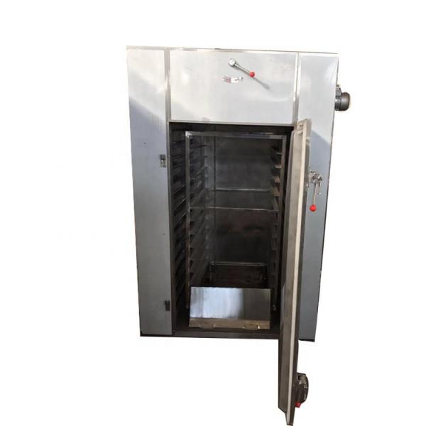 CT Series Hot Air Slice / Flaky Material Rotary Drum Dryer / Drier /Drying Oven #1 image