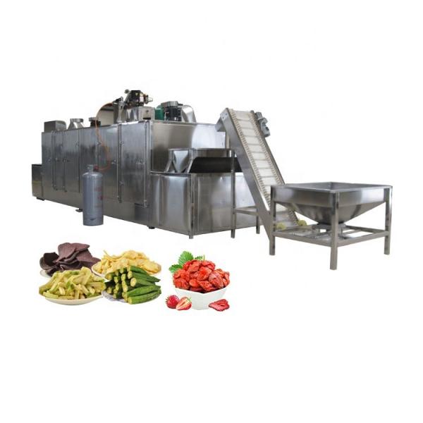 Vegetable Dehydrator Fruit Cassava Dryer Microwave Vacuum Oven Nut Food Drying Machine Spices Herbs Dryer #1 image