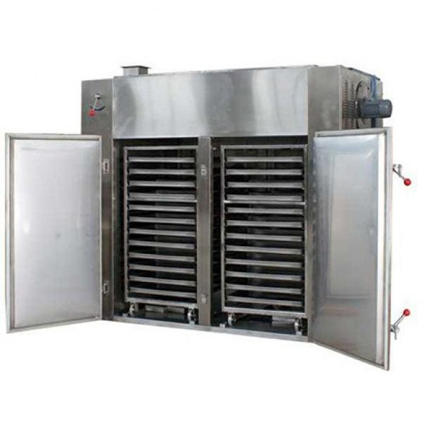 Heat Pump Hot Air Mesh Belt Fish Chilli Mango Fruit Vegetable Drying Dehydrator Machine Dryer #1 image