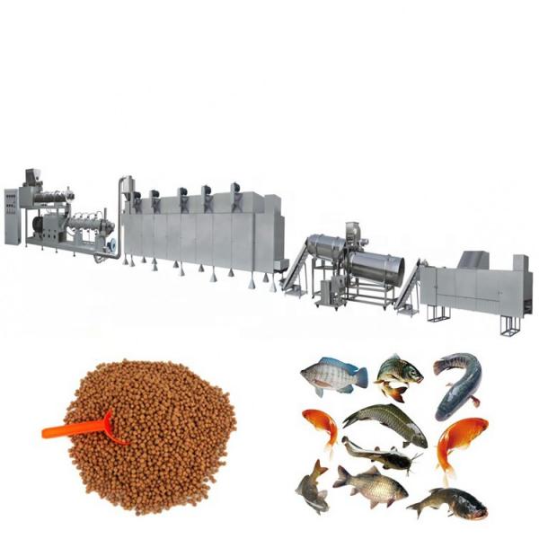 China Manufacturer Pet Food Fish Feed Processing Line #3 image